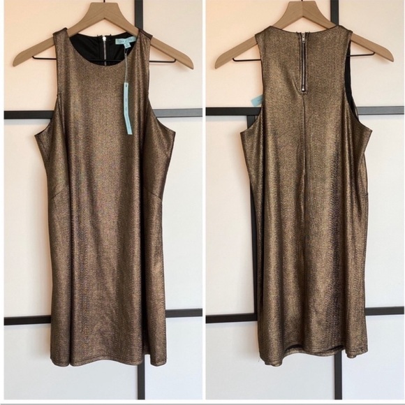 She + Sky metallic dress. Small. NWT - Picture 1 of 7